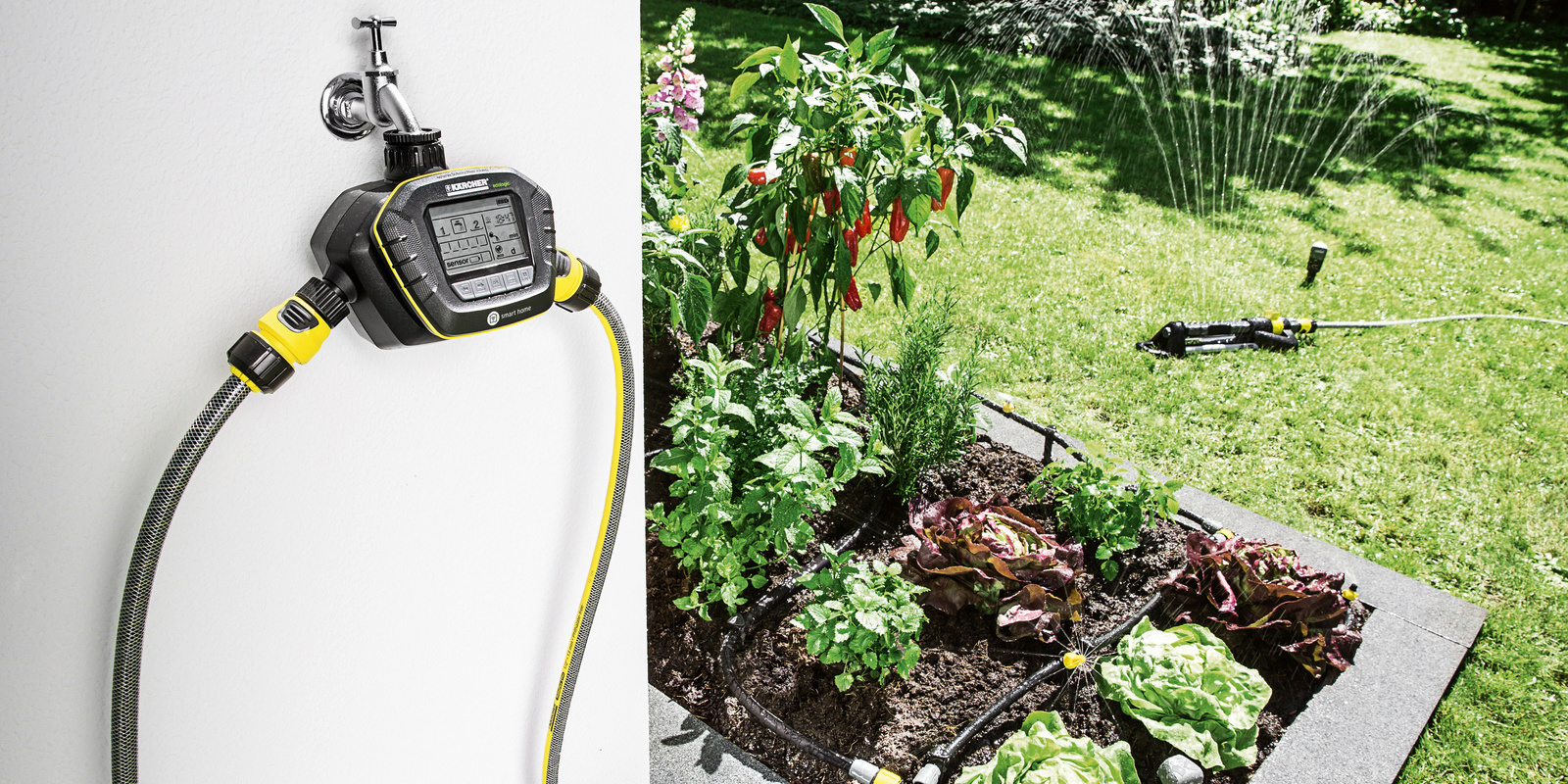 hệ thống tưới