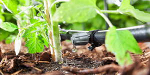 Đầu tưới nhỏ giọt Rain System drip nozzle Đầu tưới nhỏ giọt Rain System drip nozzle