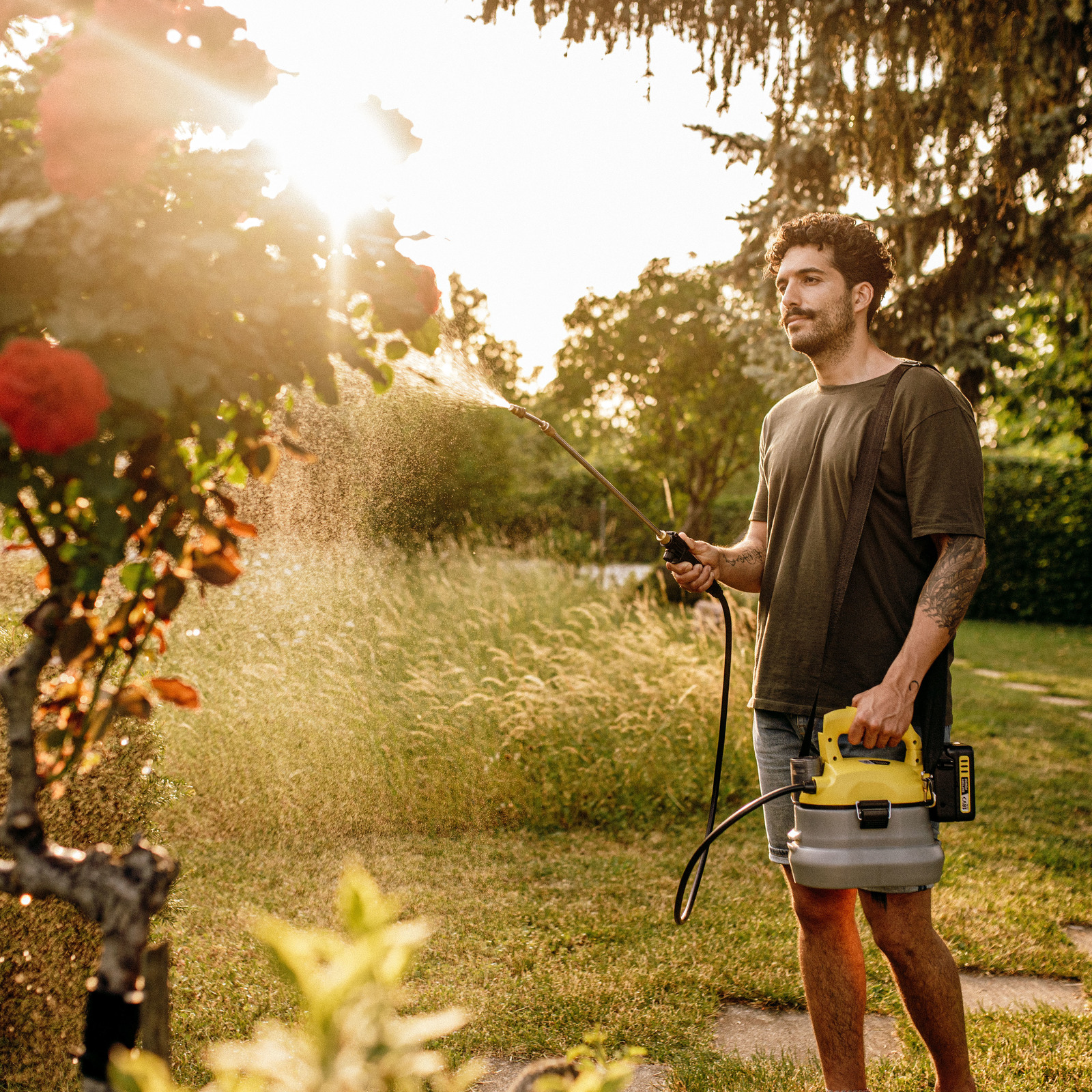 Pulvérisation d'engrais avec le pulvérisateur à pression sans fil Kärcher Personne pulvérisant de l'engrais sur des plantes avec le pulvérisateur à pression sans fil Kärcher