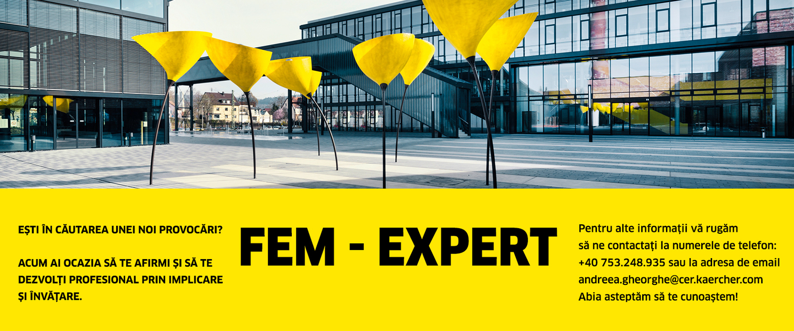 Karcher_anunt_site_FEM_Expert Karcher_anunt_site_FEM_Expert