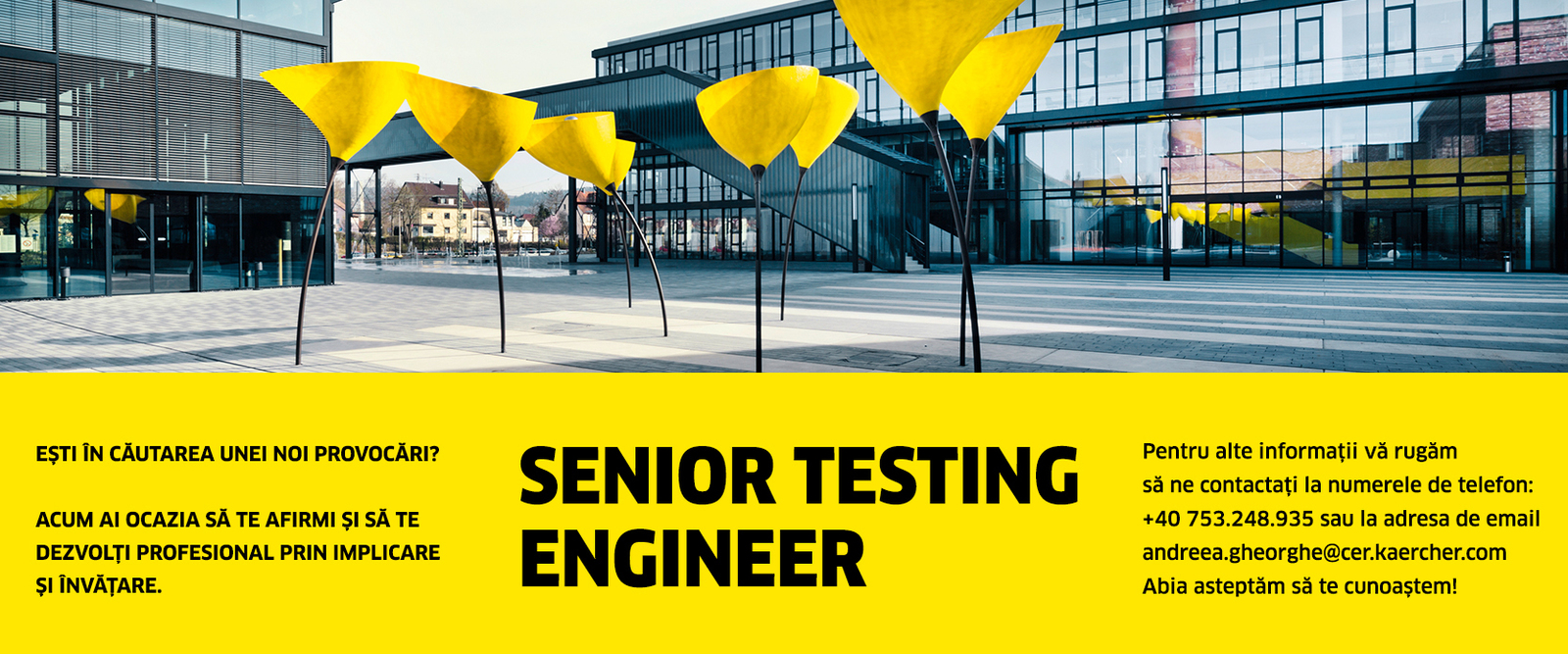 Karcher_anunt_site_Senior Testing Engineer Karcher_anunt_site_Senior Testing Engineer
