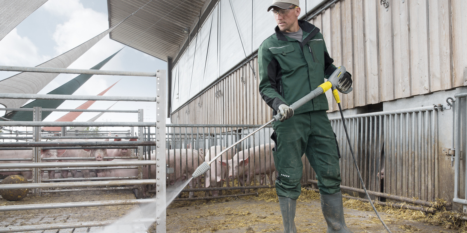 Afrykański pomór świń: Zapobieganie przez czyszczenie