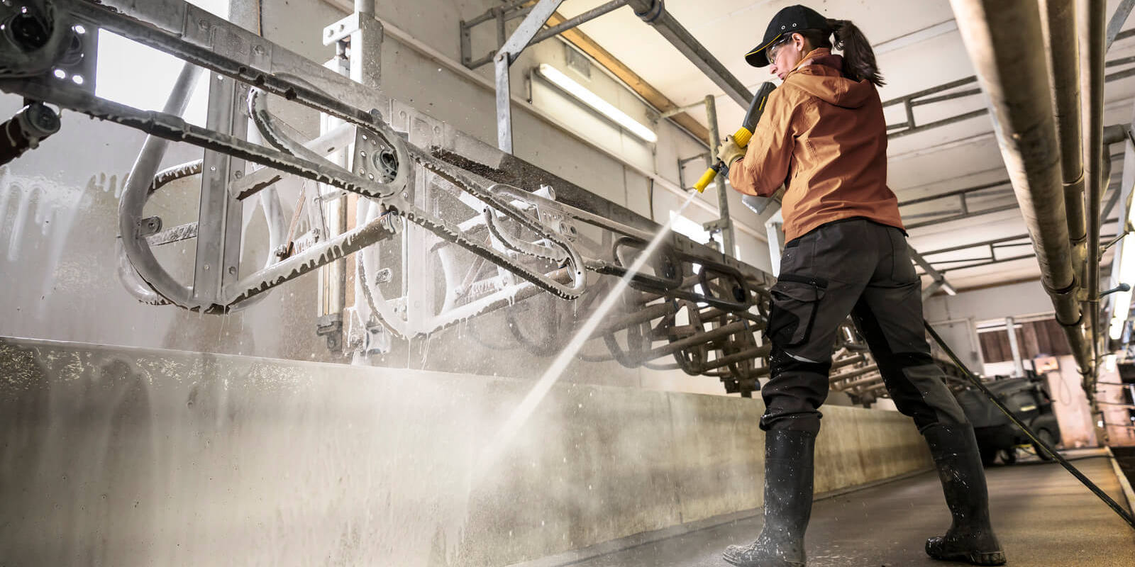 Utrzymanie czystości w hali udojowej: najważniejsze zasady i urządzenia