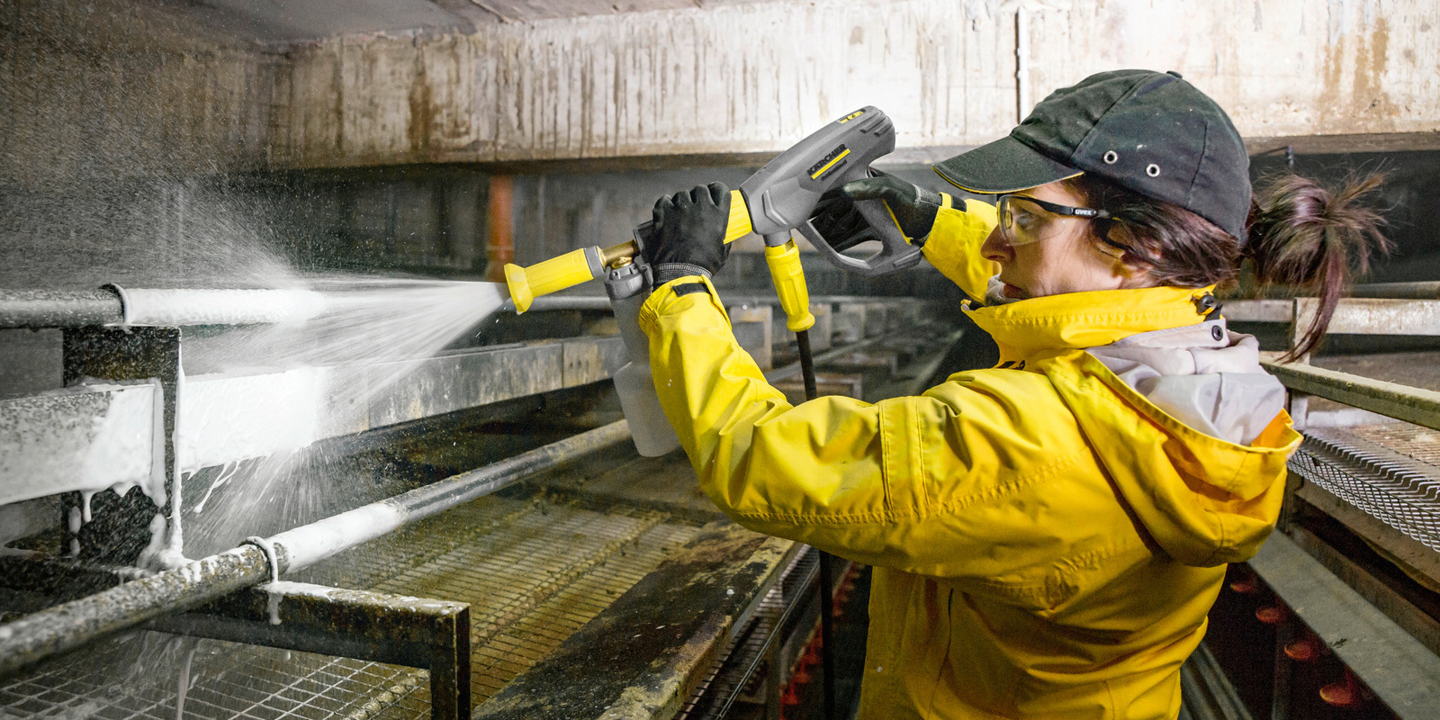 Higiena kurnika – jak zapobiegać ptasiej grypie wśród drobiu?