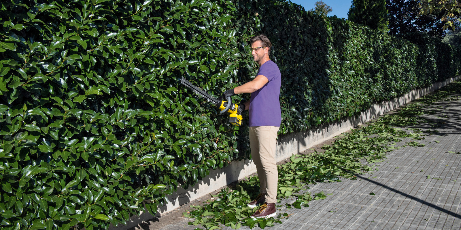 Обрізання живих огорож