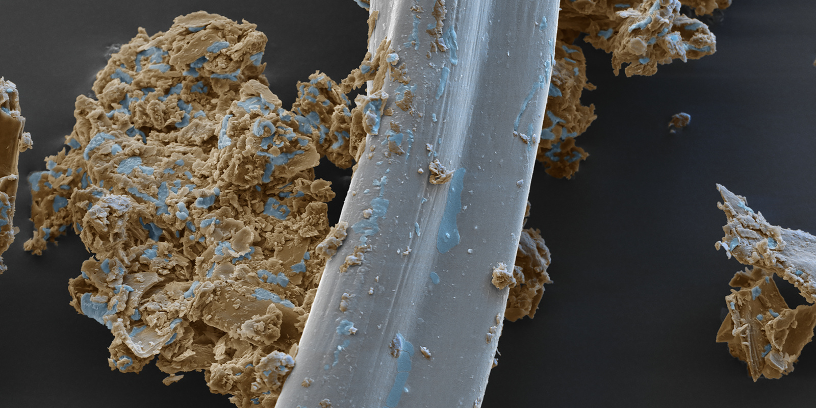 Eingekapselter Schmutz Das Bild zeigt eine Mikroskopaufnahme von eingekapseltem Schmutz an einer Teppichfaser