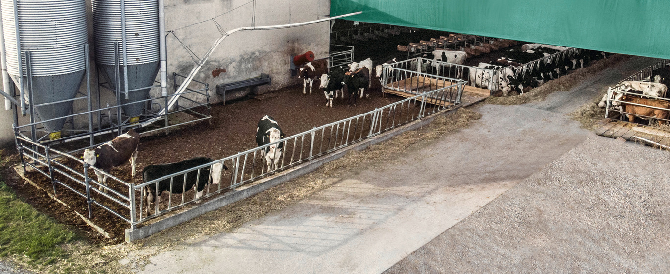 Úklid farmy, statku