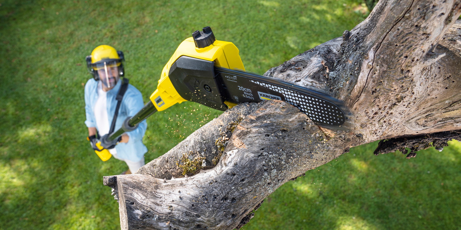Kärcher Tipps: Baum schneiden