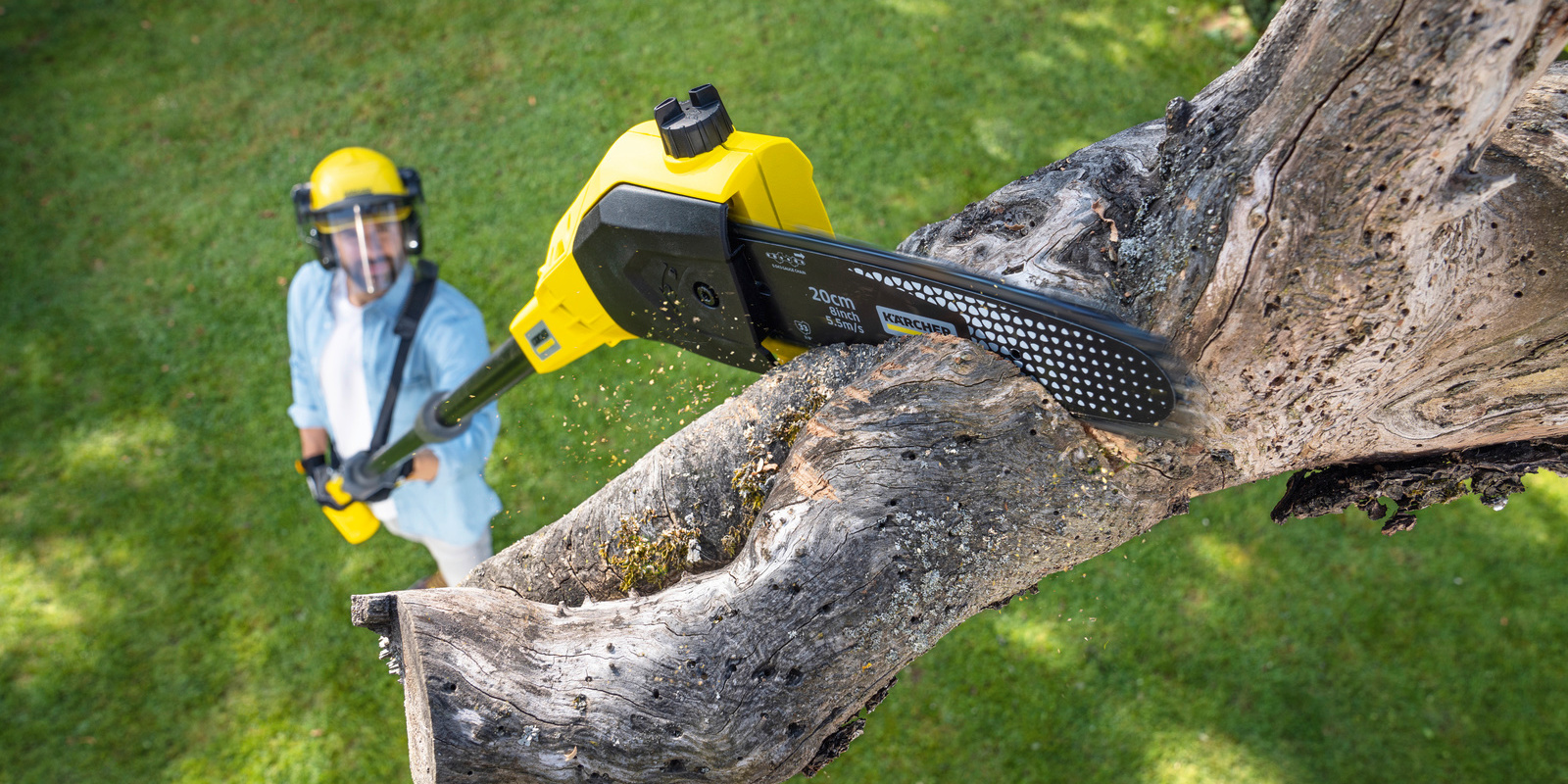 Conseils de Kärcher: Taille des arbres