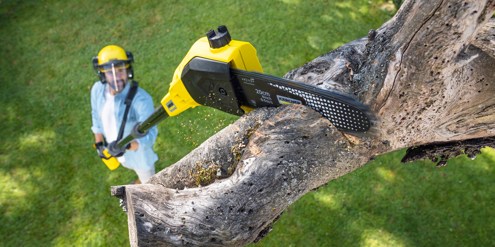 Kärcher Tipps: Baum schneiden