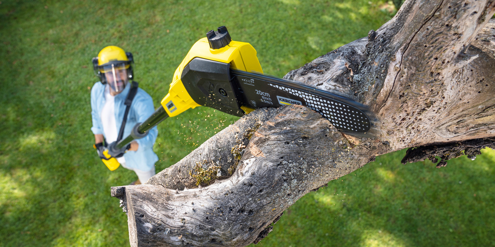 Conseils de Kärcher: Taille des arbres