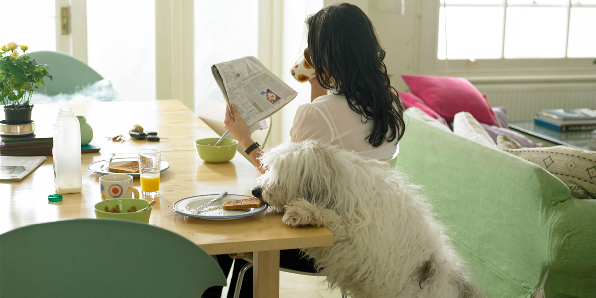 Conseils de nettoyage pour les propriétaires d'animaux