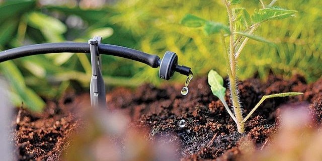 Hệ thống tưới nhỏ giọt Hệ thống tưới nhỏ giọt
