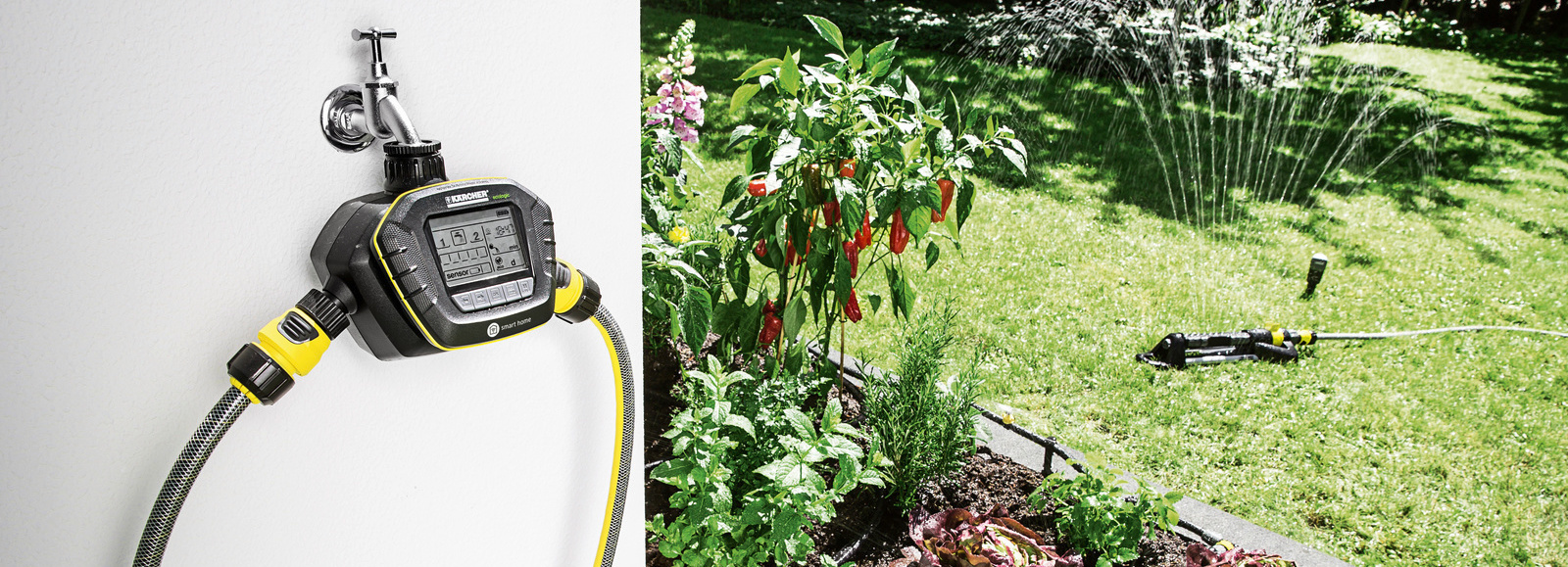 Bộ hẹn giờ tưới cây thông minh là gì