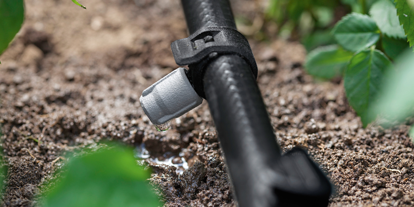 hệ thống tưới