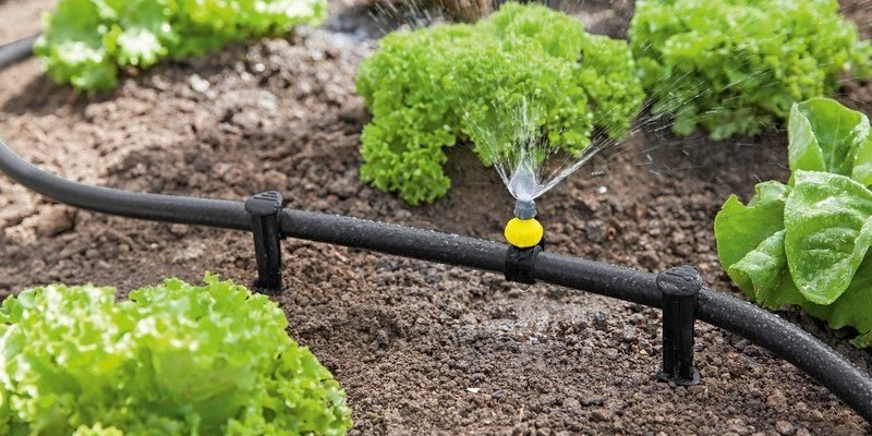 hệ thống tưới