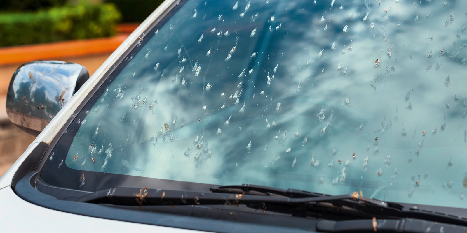 insect residue remains on windshield