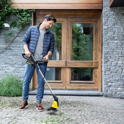 The Mirrors Guide To Removing Moss From Patio Paving