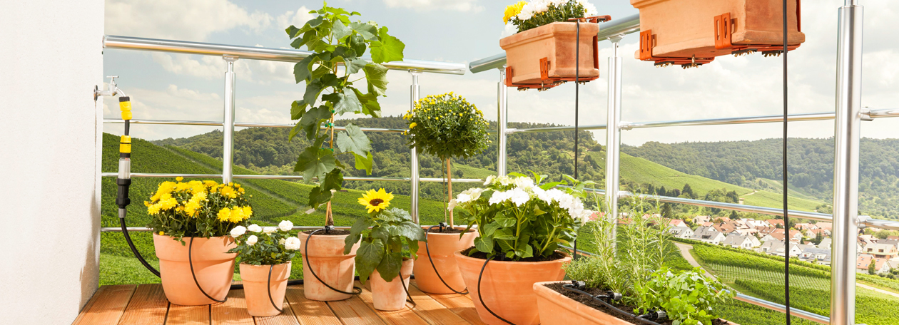 Hệ thống tưới cây nhỏ giọt