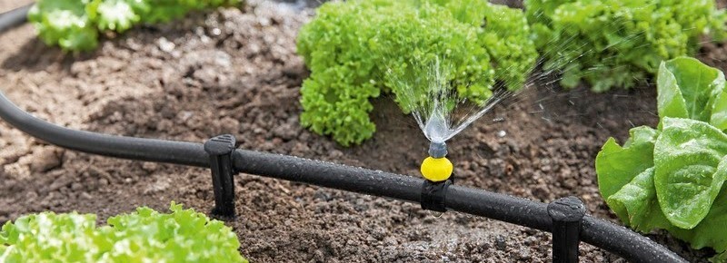 Hệ thống vòi tưới cây phun mưa