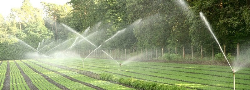 hệ thống tưới phun sương