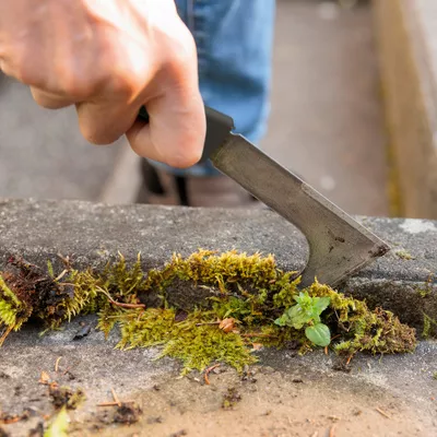 Get Rid Of Moss From Paving