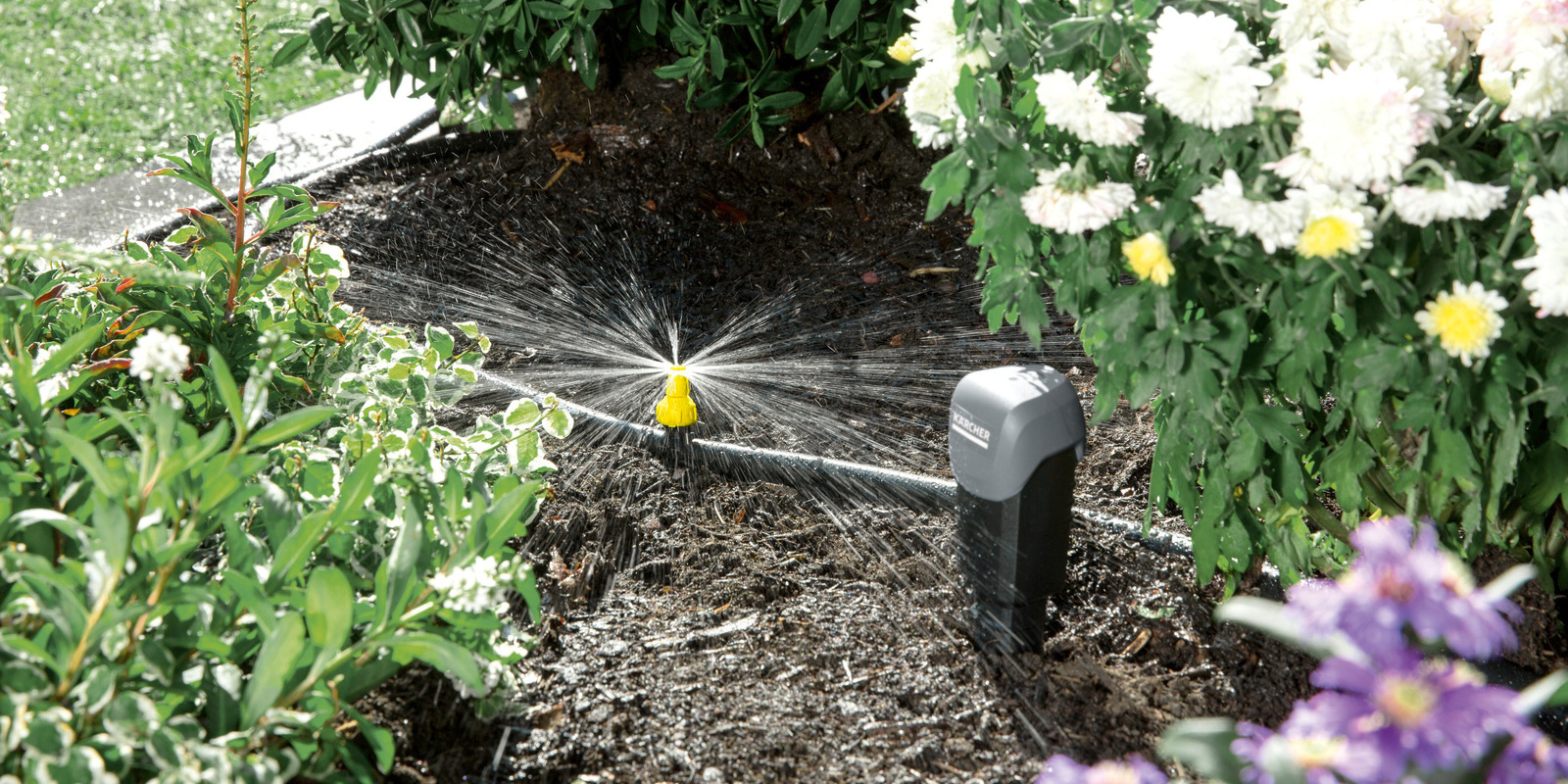 Hệ thống tưới