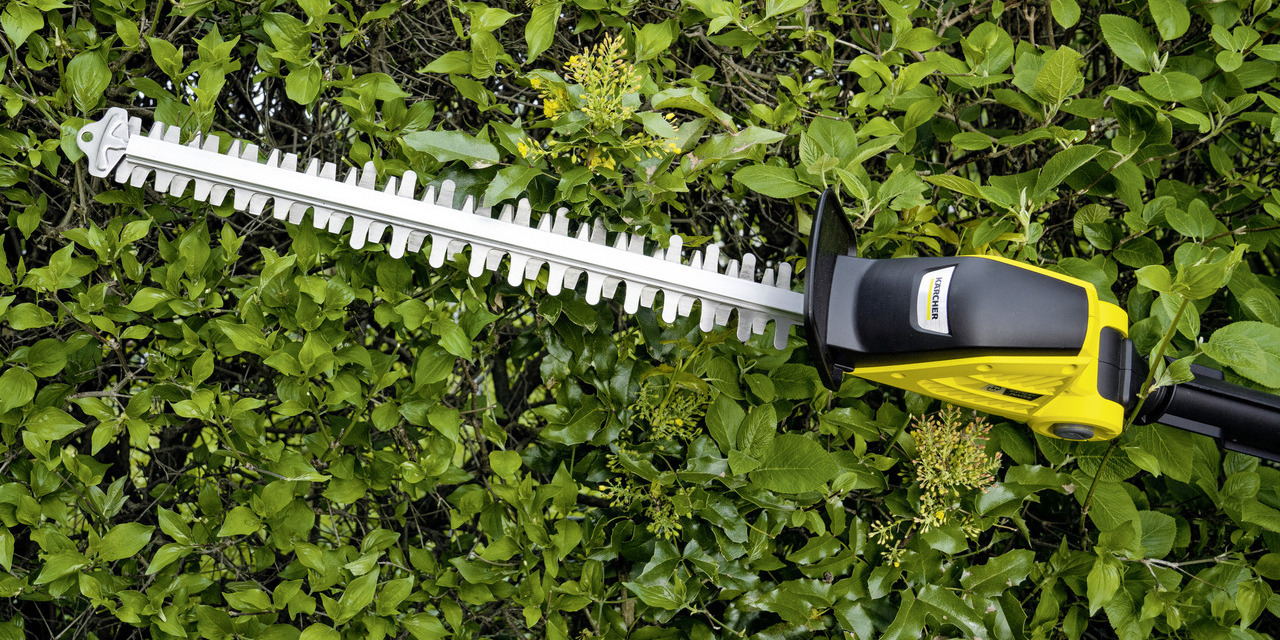 Führungsschutz Akku-Heckenschere dicht an einer Hecke