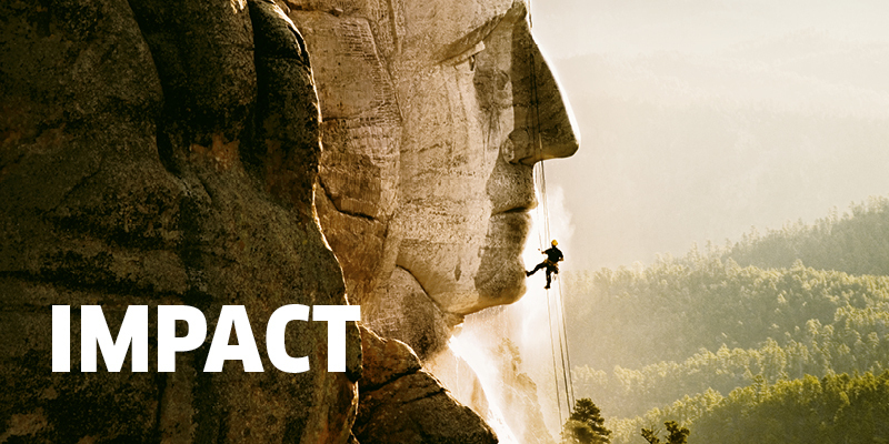 Purpose Element Impact Purpose Element Impact