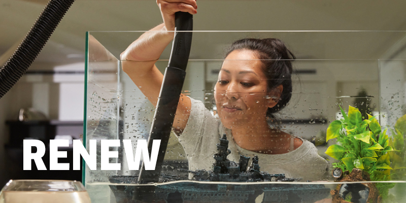 Purpose Element Renew Purpose Element Renew