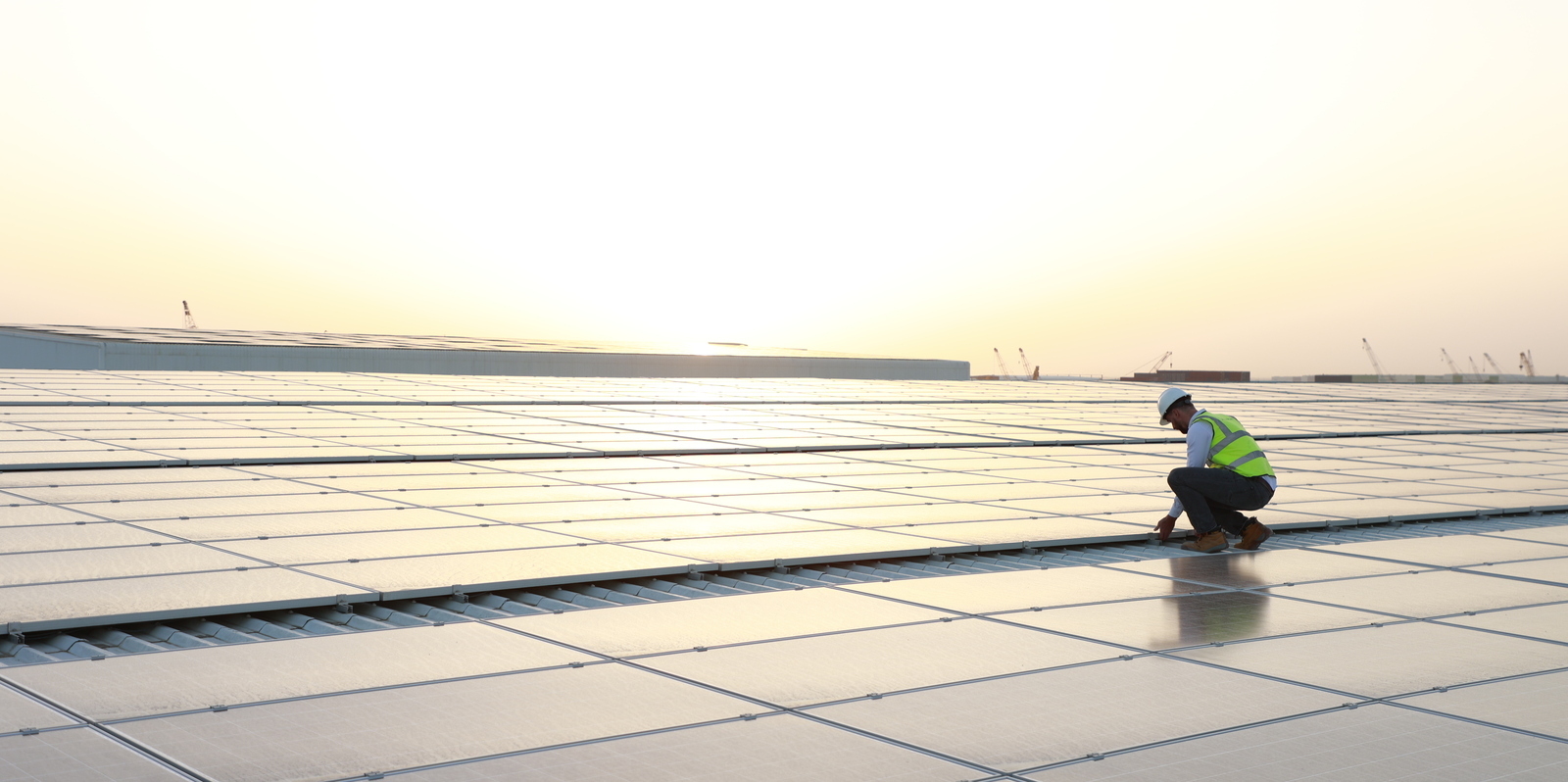 迪拜的屋顶上覆盖着太阳能电池板。