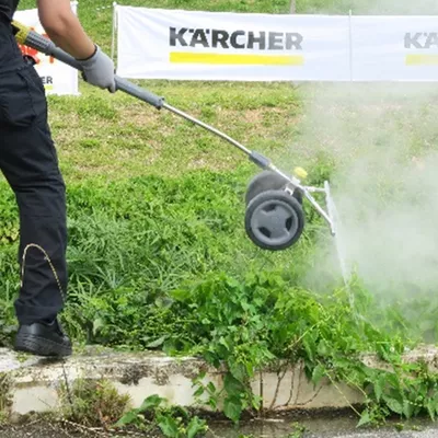 沖縄、ツルヒヨドリ駆除の実証実験