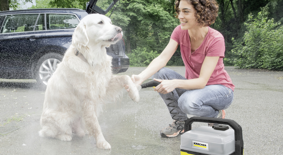 Nettoyer les pattes de son chien avec l’OC 3 Les pattes des chiens sont nettoyées en douceur avec un nettoyeur mobile Kärcher