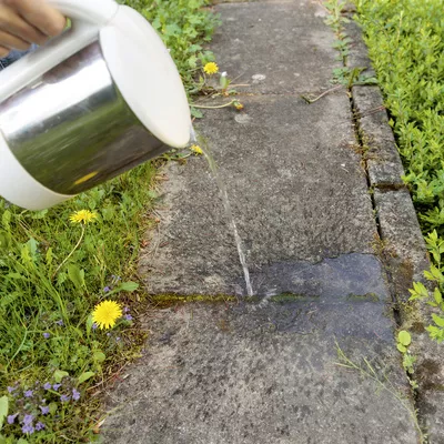 https://s1.kaercher-media.com/media/image/selection/122200/m3/weed-removal-with-hot-water.webp