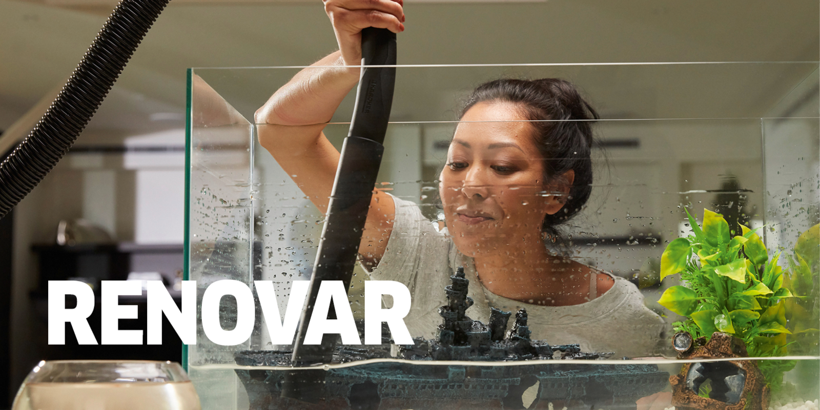 Renovar Elemento renovación en el propósito de Kärcher