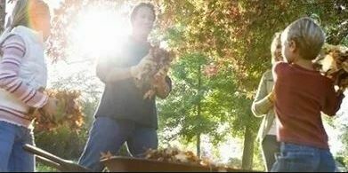 Consejos de Kärcher para cuidar jardin en otoño