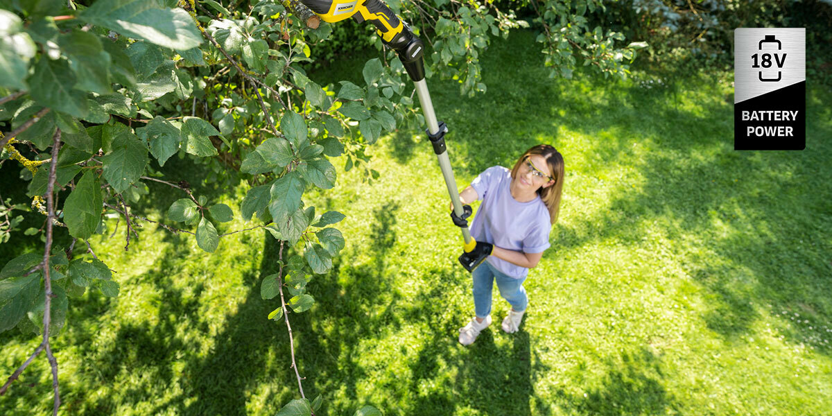Battery tree lopper Woman cutting branch with the battery tree lopper