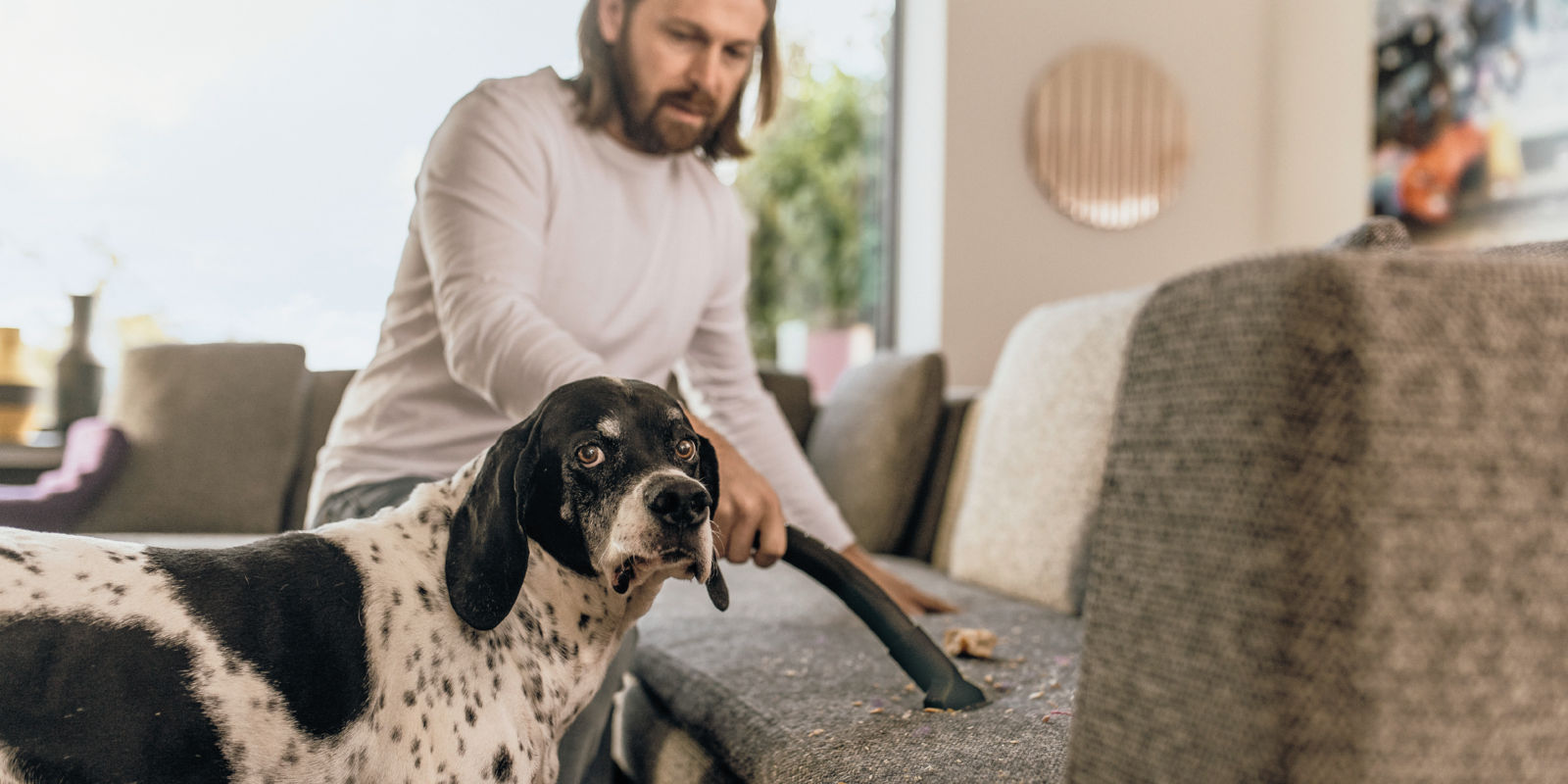 Aspiradora WD 3 Home