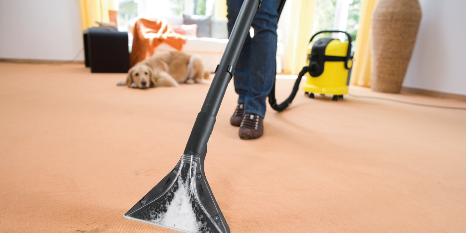 Limpieza de hogar con mascota