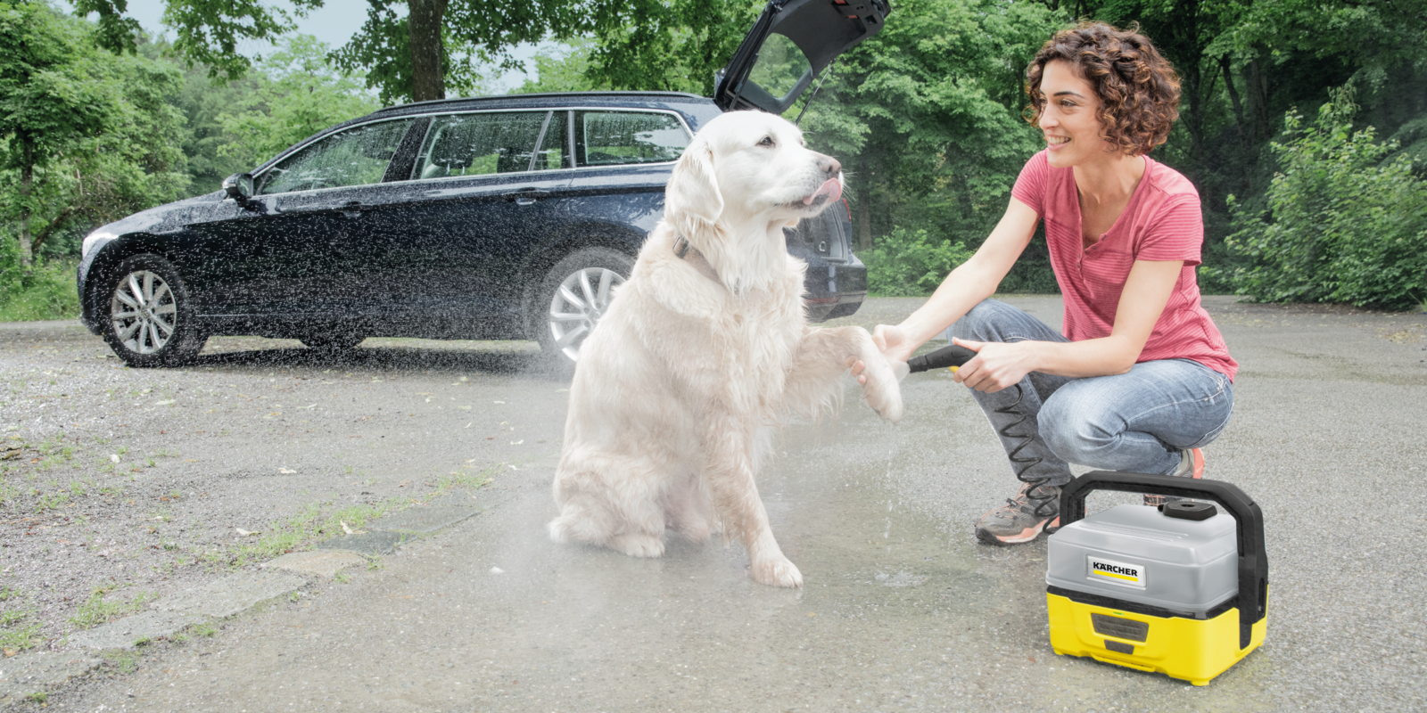 limpieza de mascotas