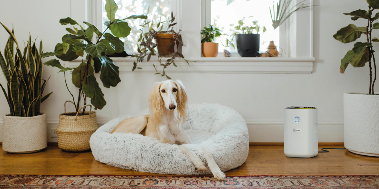 Purificador de aire de Kärcher