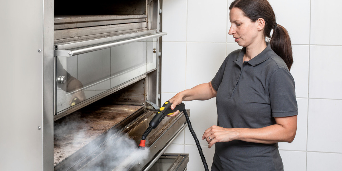 Limpiadores de vapor