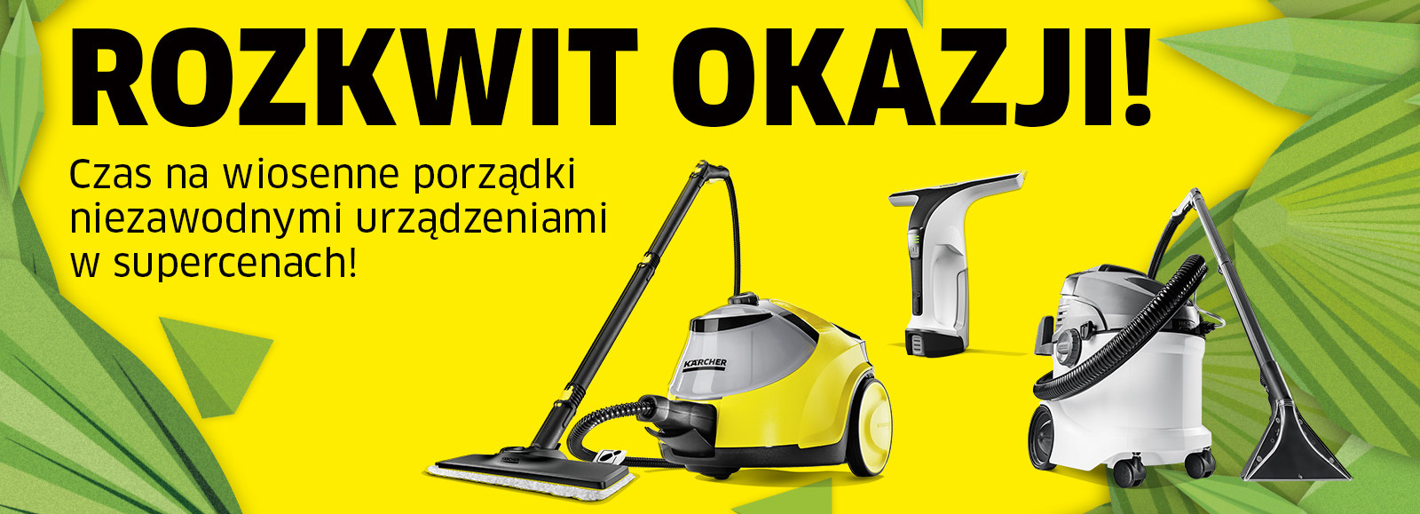 Wiosenne porządki Wiosenne porządki