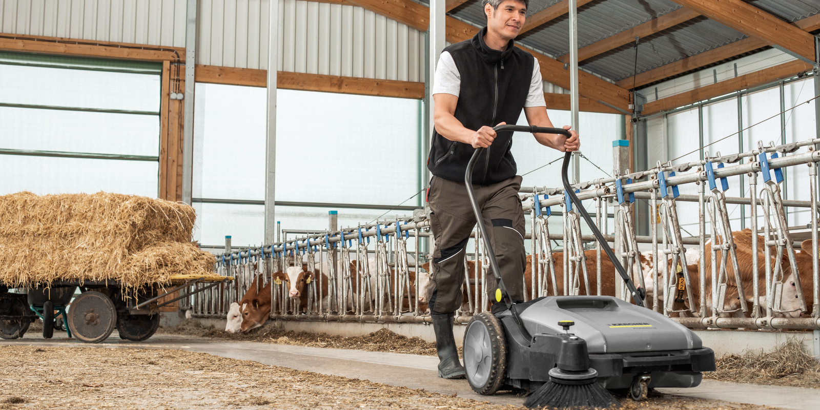 push sweeper push sweeper
