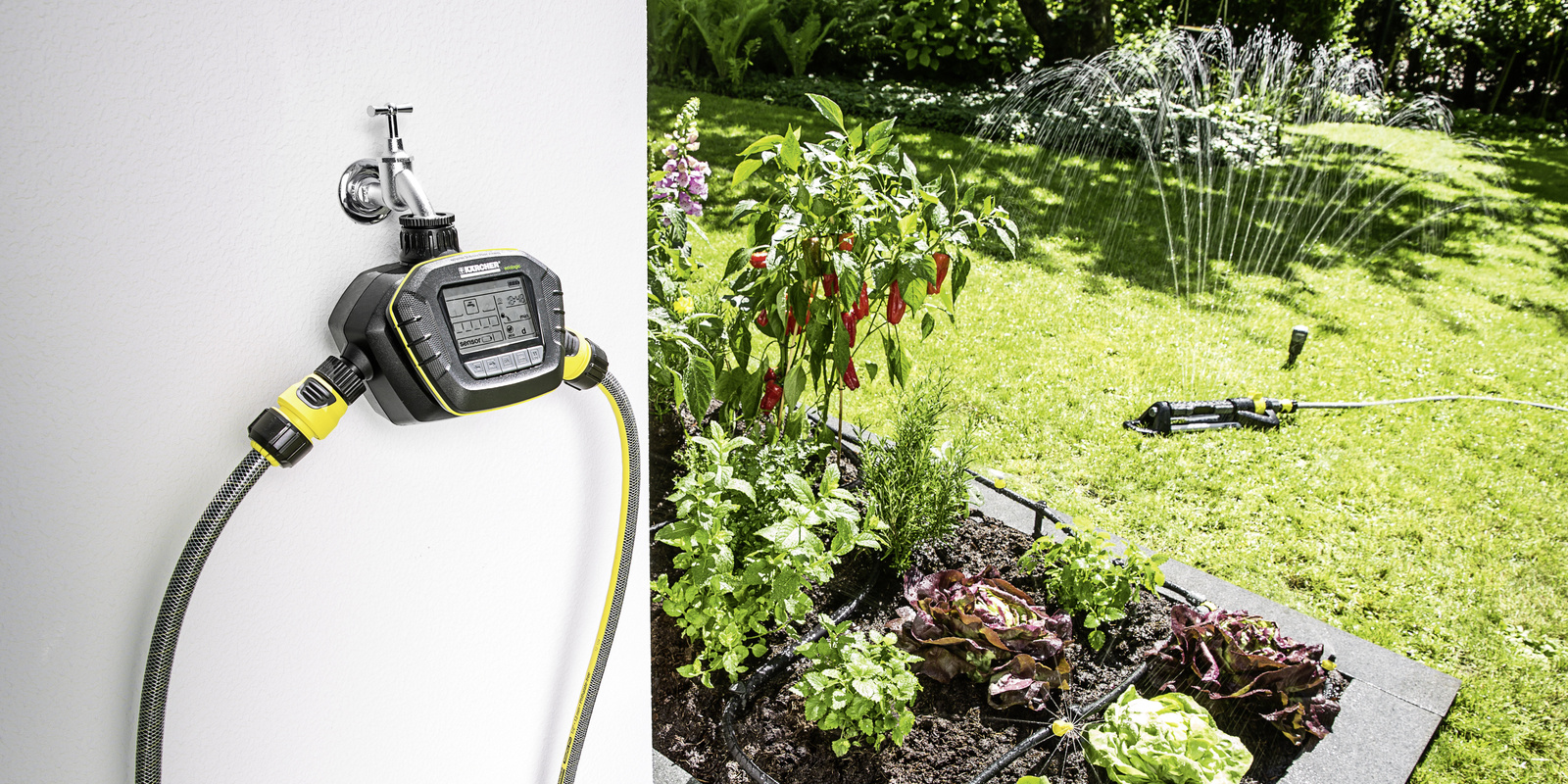 Arroser le jardin avec un système d'arrosage automatique