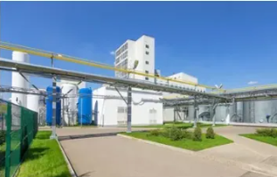 3- Cuida del ambiente externo