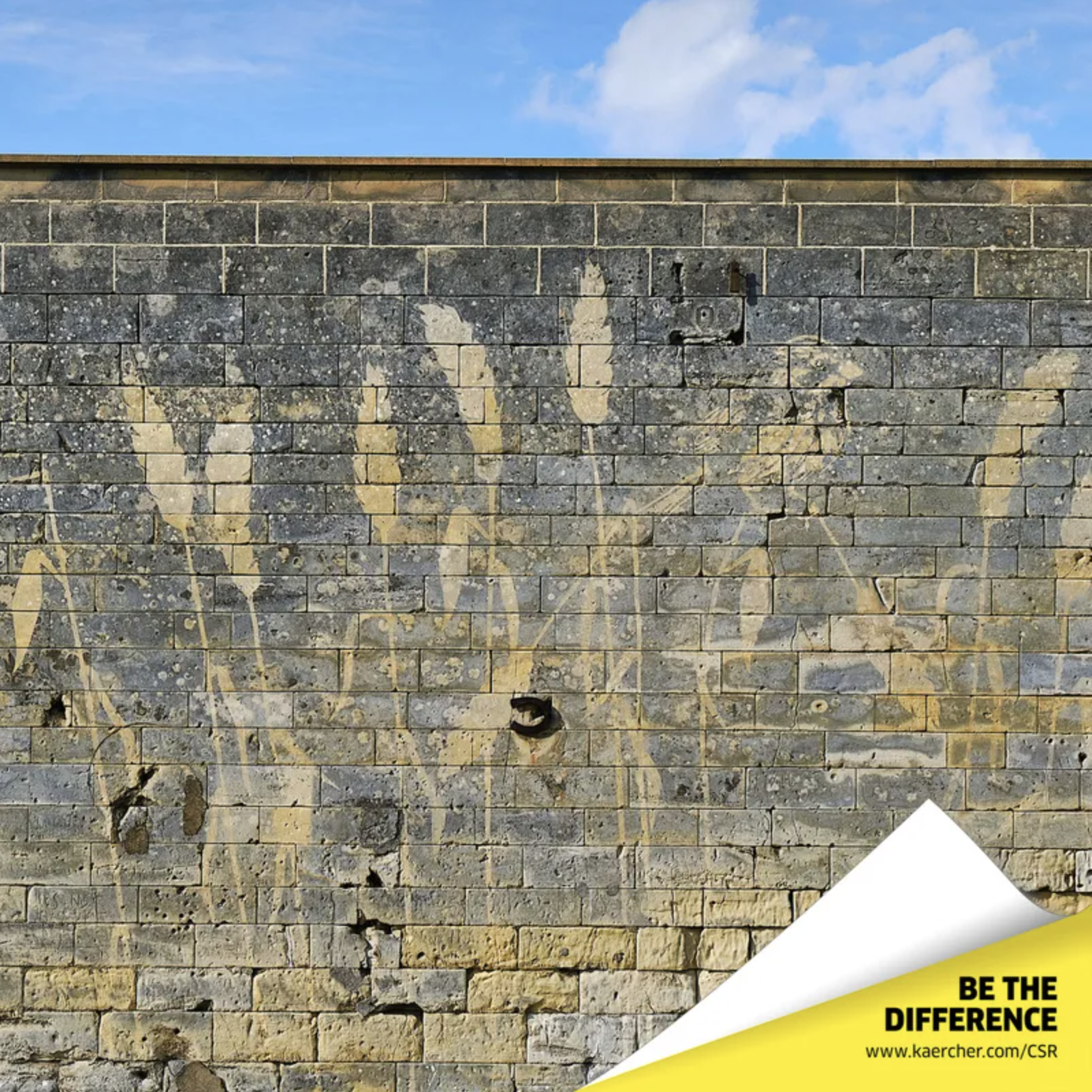 Zahlen und Fakten Zahlen和Fakten