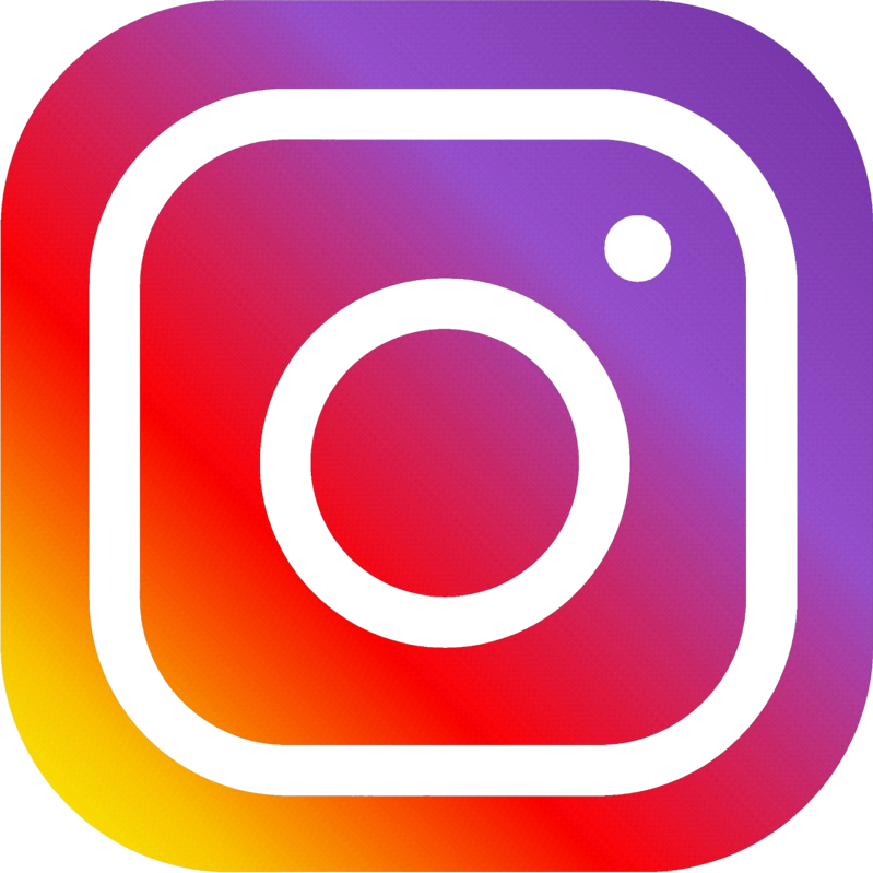 Instagram - Professional Instagram logo - Professional