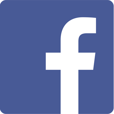 Facebook - Professional Facebook logo - Professional