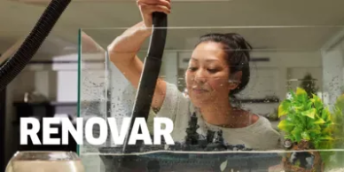 Renovar Renovar